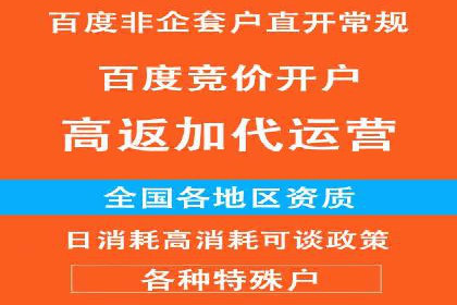 百度竞价排名服务：实战案例教你如何高效推广